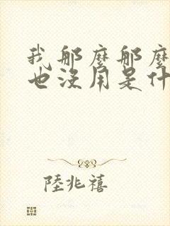 我那么那么爱你也没用是什么歌