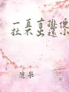 一直有排便感又拉不出还小腹疼