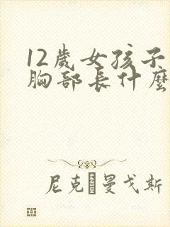 12岁女孩子的胸部长什么样