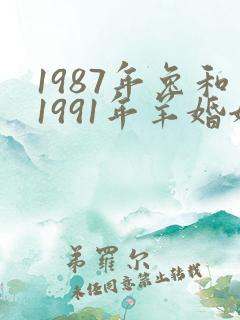 1987年兔和1991年羊婚姻相配吗
