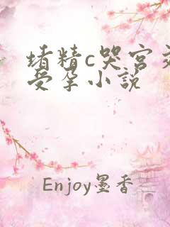 堵精c哭宫交h受孕小说