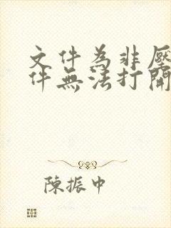 文件为非压缩文件无法打开怎么办