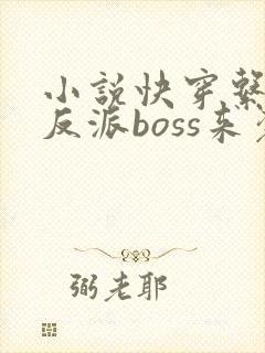 小说快穿系统之反派boss来袭