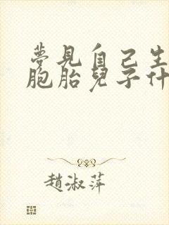 梦见自己生了双胞胎儿子什么预兆