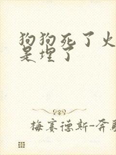 狗狗死了火化还是埋了