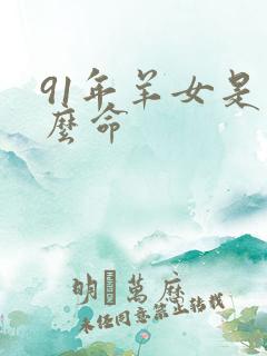 91年羊女是什么命