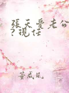 张天爱老公是谁? 现任