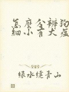 怎么分辨狗狗有细小有犬瘟