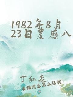 1982年8月23日农历八字