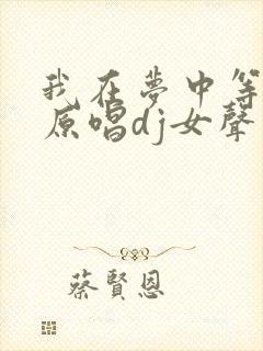 我在梦中等着你原唱dj女声版