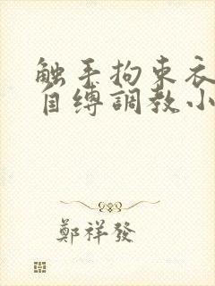 触手拘束衣淫堕自缚调教小说