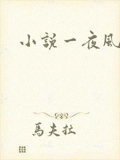小说一夜风情
