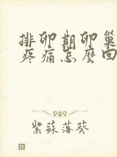 排卵期卵巢部位疼痛怎么回事