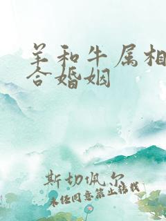 羊和牛属相合不合婚姻