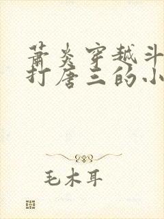 萧炎穿越斗罗吊打唐三的小说