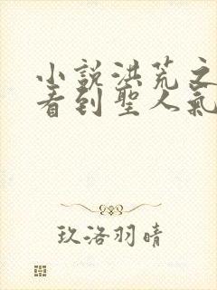 小说洪荒之我能看到圣人气运