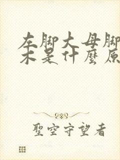 左脚大母脚趾麻木是什么原因