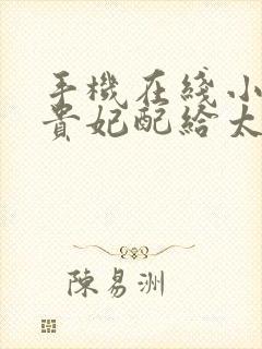 手机在线小说被贵妃配给太监当对食后