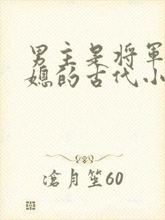 男主是将军和儿媳的古代小说