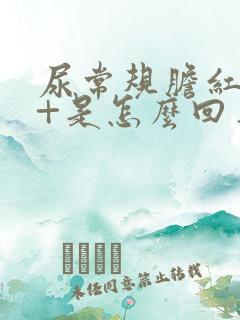 尿常规胆红素1+是怎么回事