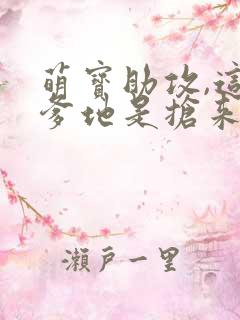 萌宝助攻,这个爹地是抢来的