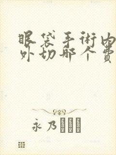 眼袋手术内切和外切哪个费用高