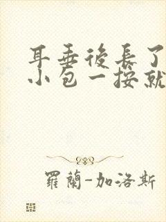 耳垂后长了一个小包一按就疼