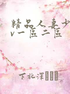 精品人妻少妇av一区二区