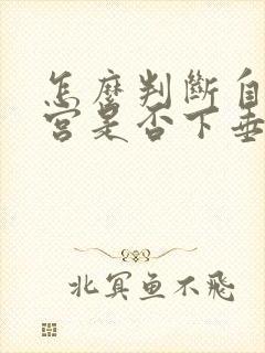 怎么判断自己子宫是否下垂