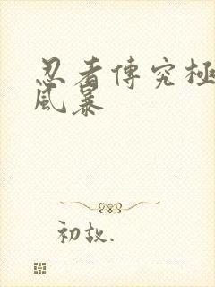 忍者传究极忍者风暴