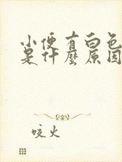 小便有白色液体是什么原因