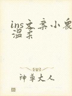 ins文案小众温柔