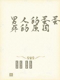 男人的蛋蛋有点疼的原因