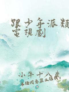 跟少年派类似的电视剧