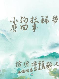 小狗拉稀带血怎么回事