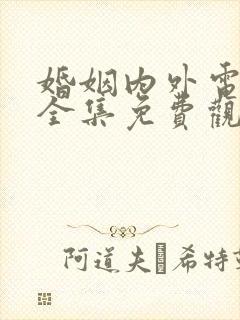 婚姻内外电视剧全集免费观看高清