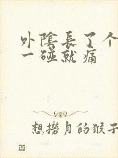 外阴长了个疙瘩一碰就痛