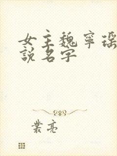 女主魏宁瑶的小说名字