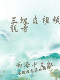三级爽视频在线观看