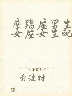 摩羯座男生和处女座女生配对指数