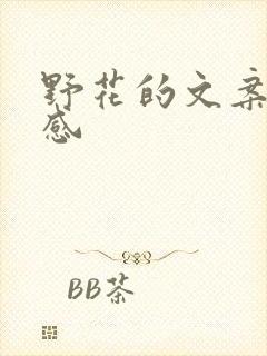 野花的文案高级感