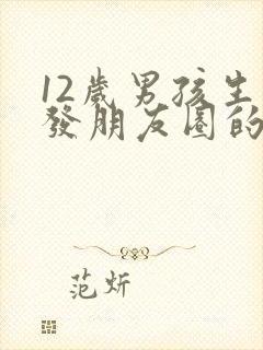 12岁男孩生日发朋友圈的文案