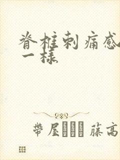 脊椎刺痛感针扎一样