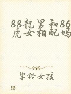 88龙男和86虎女相配吗