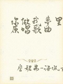 你做我梦里的人原唱歌曲