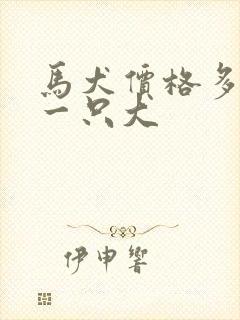 马犬价格多少钱一只大