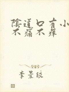 阴道口有小肉粒不痛不痒