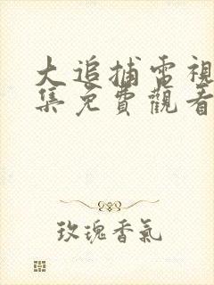 大追捕电视剧全集免费观看