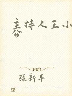 主持人王小丫老公