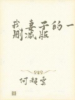 我妻子的一切未删减版